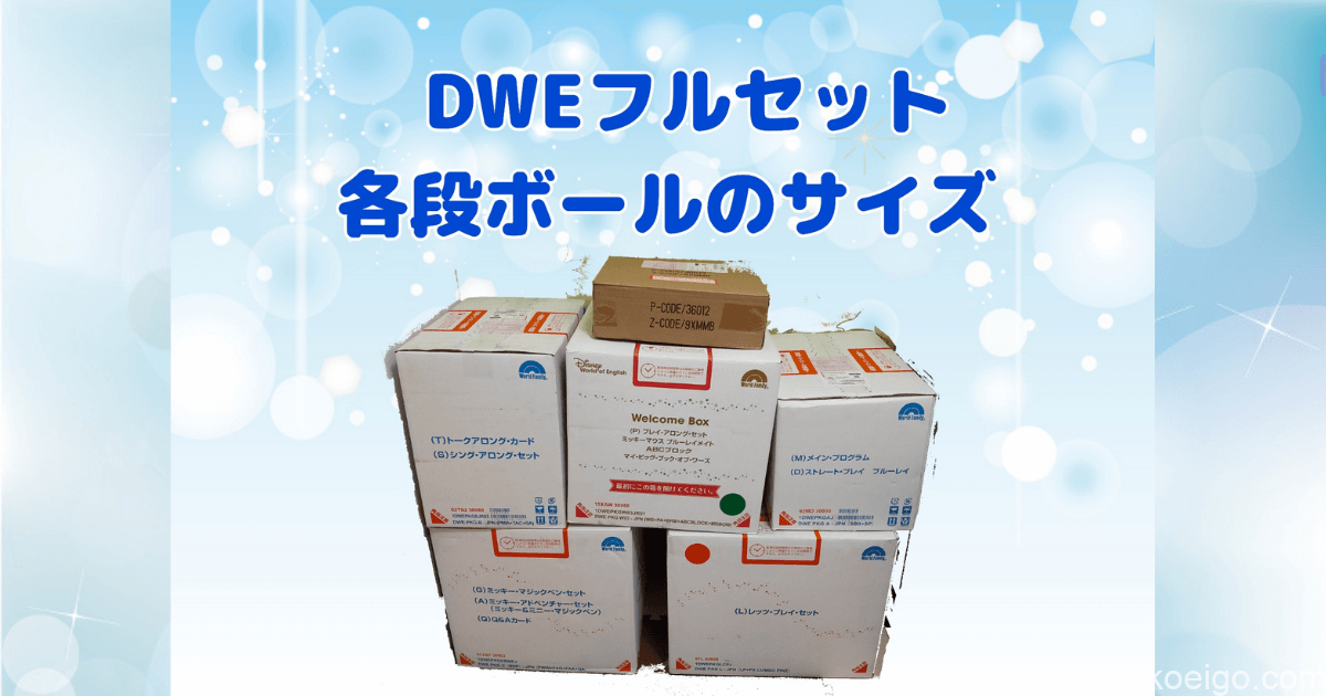 【Yu-hiさま専用】DWE box 1/4